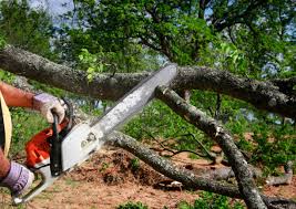 Lawn Drainage Solutions in Decatur, AL