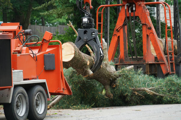 Best Commercial Tree Services  in Decatur, AL